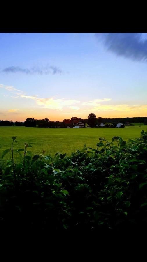 Ferienhof Oberhuber Staudach-Egerndach Luaran gambar