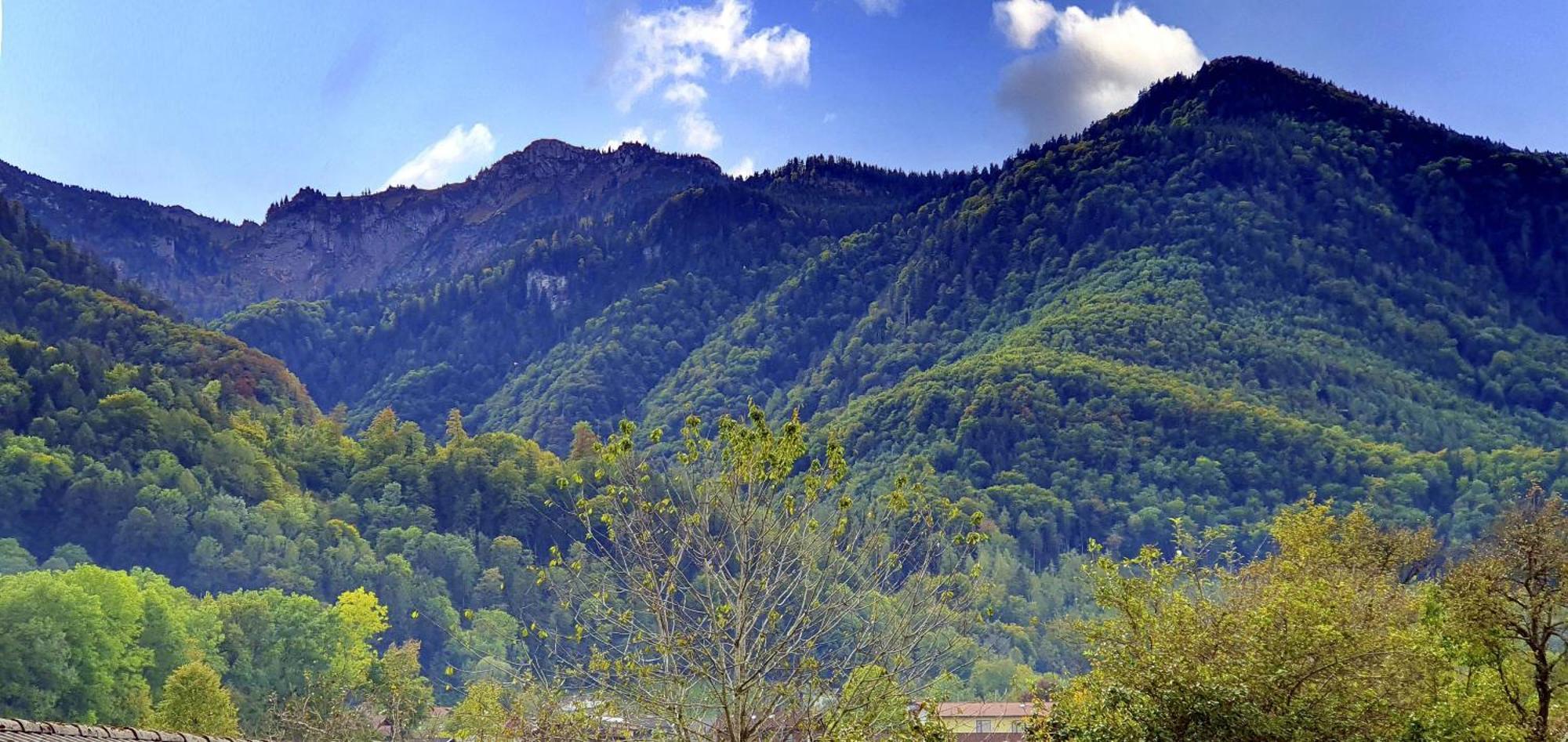 Ferienhof Oberhuber Staudach-Egerndach Luaran gambar